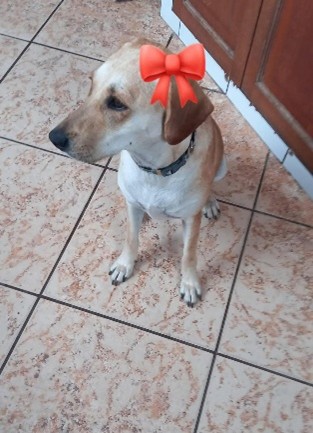 BLANQUITA